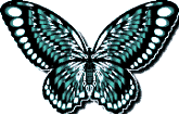 Butterflies graphics