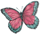 Butterflies graphics