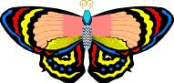 Butterflies graphics