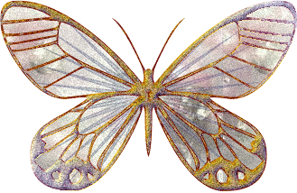 Butterflies graphics