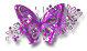 Butterflies graphics