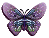 Butterflies graphics