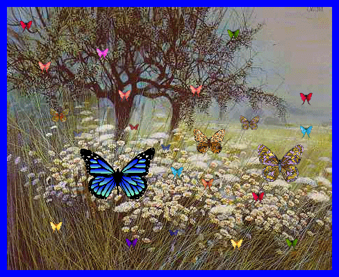 Butterflies graphics