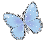 Butterflies graphics