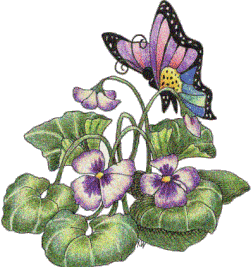 Butterflies graphics