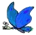 Butterflies graphics