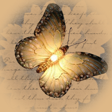 Butterflies graphics