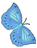 Butterflies graphics