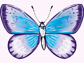 Butterflies graphics