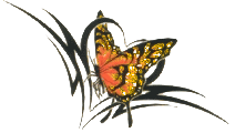 Butterflies graphics