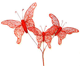 Butterflies graphics