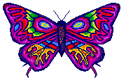 Butterflies graphics