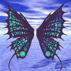 Butterflies graphics