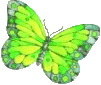 Butterflies graphics