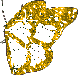 Butterflies graphics