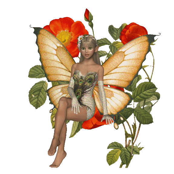 Butterflies graphics