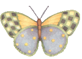 Butterflies graphics