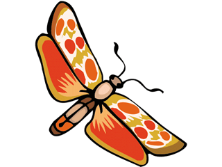 Butterflies graphics