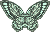 Butterflies graphics