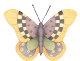 Butterflies graphics
