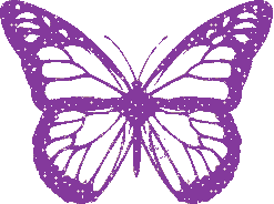 Butterflies graphics