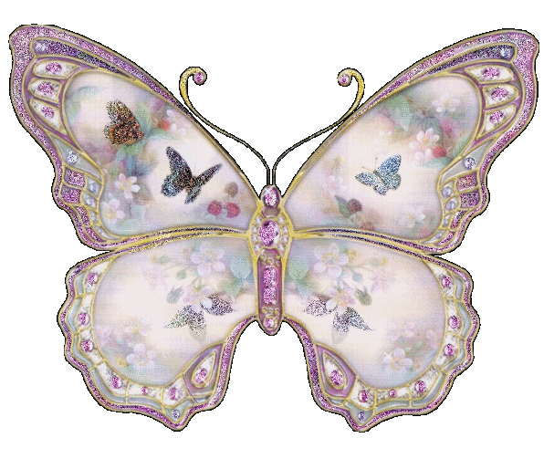 Butterflies graphics