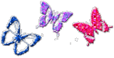Butterflies graphics