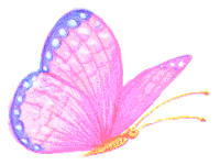Butterflies graphics