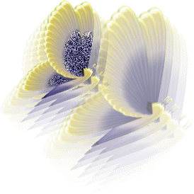 Butterflies graphics