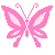Butterflies graphics