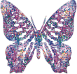Butterflies graphics