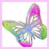 Butterflies graphics