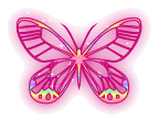 Butterflies graphics