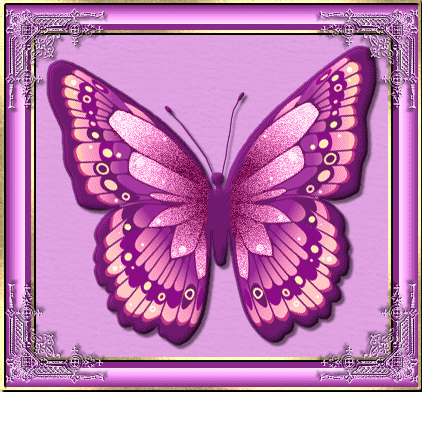Butterflies graphics