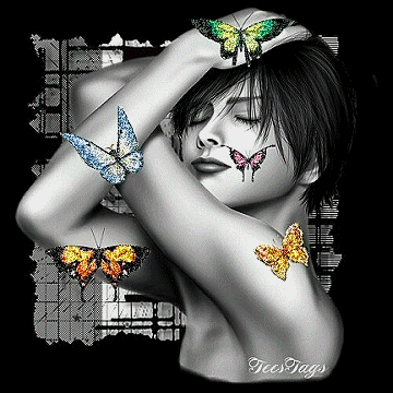 Butterflies graphics