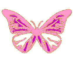 Butterflies graphics