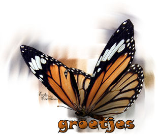 Butterflies graphics