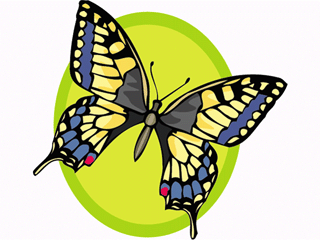 Butterflies graphics