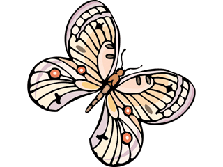 Butterflies graphics