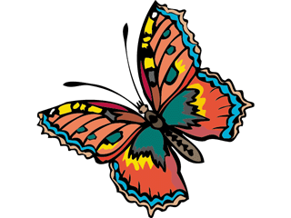 Butterflies graphics