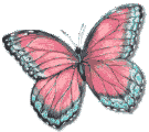 Butterflies graphics