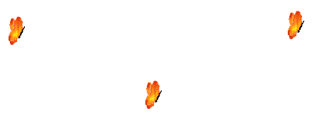 Butterflies graphics