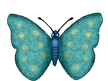 Butterflies graphics