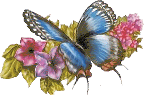 Butterflies graphics
