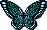 Butterflies graphics