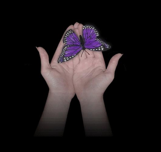 Butterflies graphics