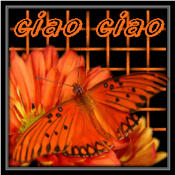 Butterflies graphics