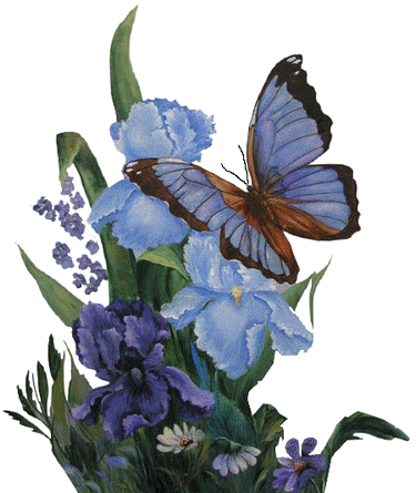 Butterflies graphics