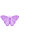 Butterflies graphics