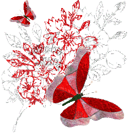 Butterflies graphics